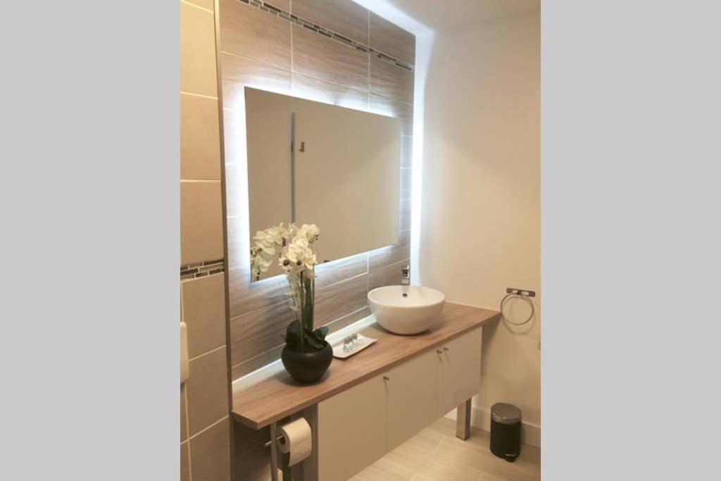 Appartement Grande Chaussee 里尔 外观 照片